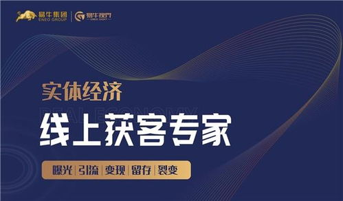 易牛視界 以數字技術服務為引擎，驅動實體經濟線上獲客新增長